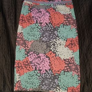 Boden Flower Skirt